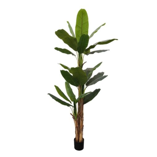 עץ בננה מלאכותי במראה טבעי – גובה 2.4 מטר
