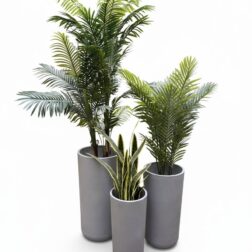Alternative view of כדי בוני - אפור בטון